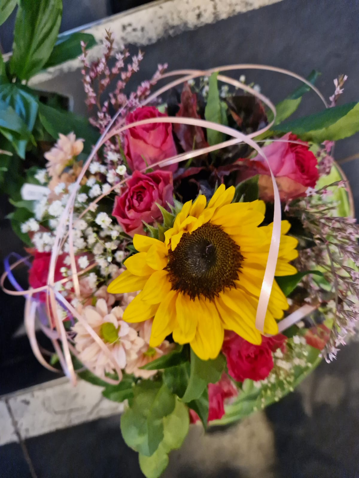 Sommerblumen Sortiment